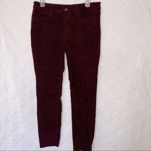 Ann Taylor Loft Super Skinny woman’s Pants